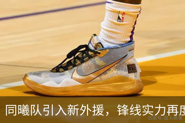 同曦队引入新外援，锋线实力再度增强